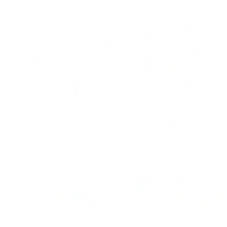 Visitar workafolio